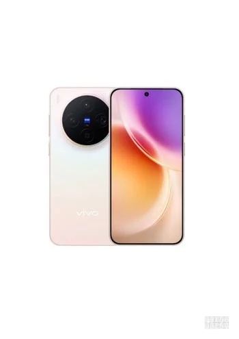 Vivo X300